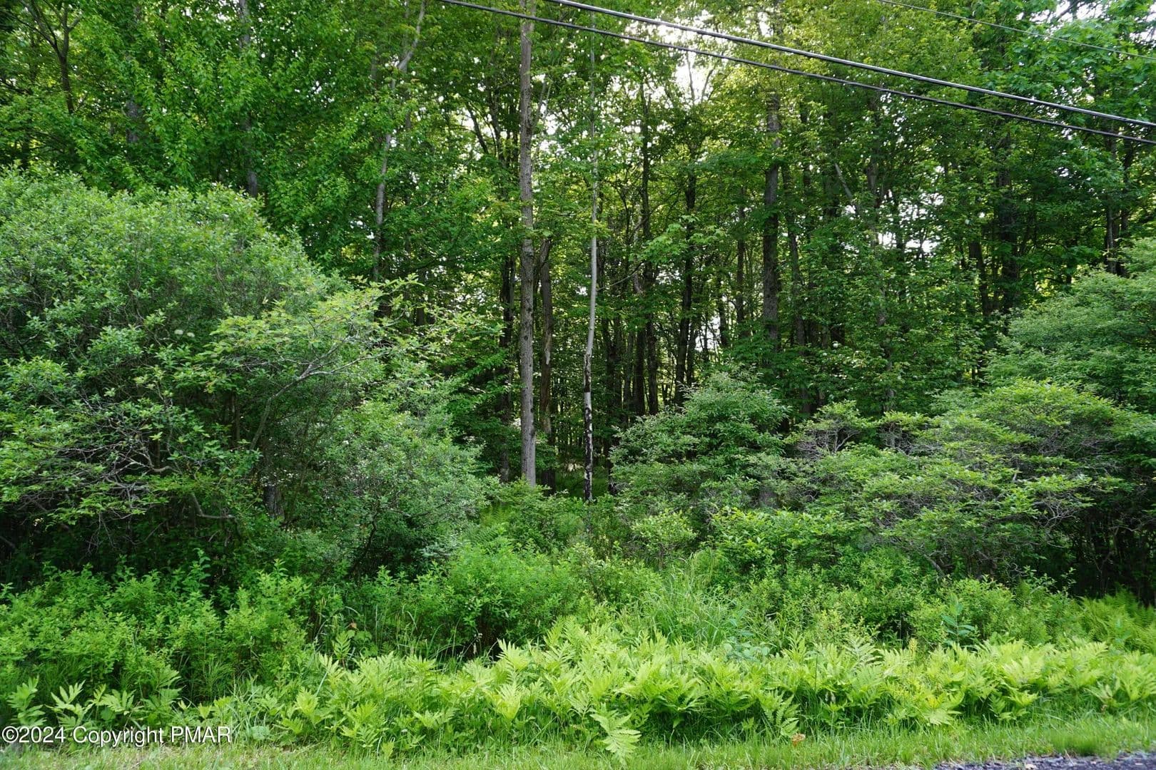 Lots & Land-Other in Pocono Lake - Pocono Lake, Pennsylvania, 18347
