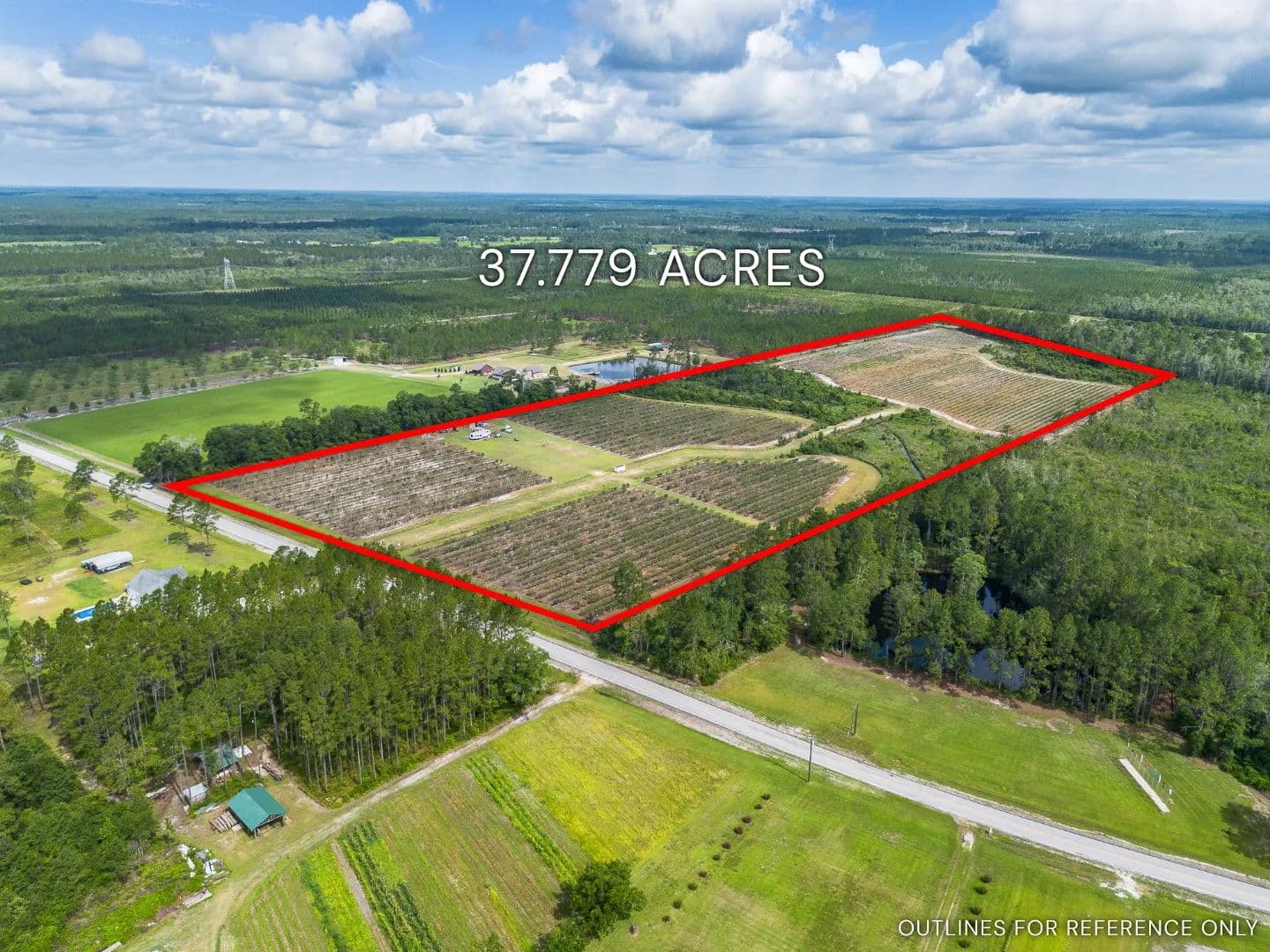 Swain Blueberry Farm	 - Patterson, Georgia, 31557
