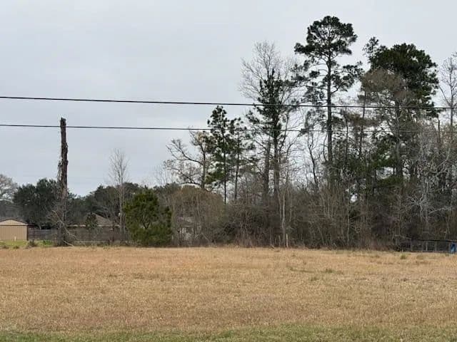 Land -Single Family Acreage in Orange - Orange, Texas, 77630
