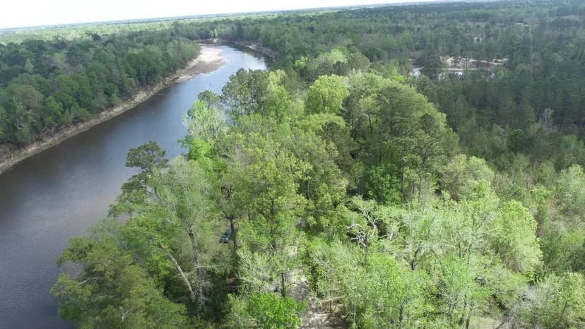 Forest River Tract 7