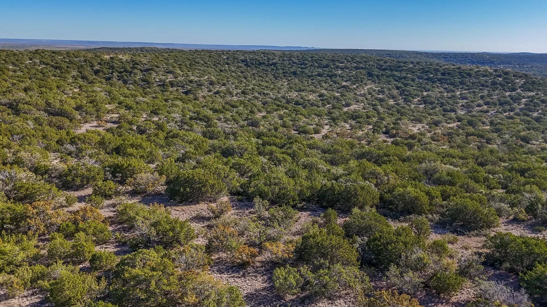 1280 Acres of Land for Sale in Robert Lee, TX - Robert Lee, Texas, 76945