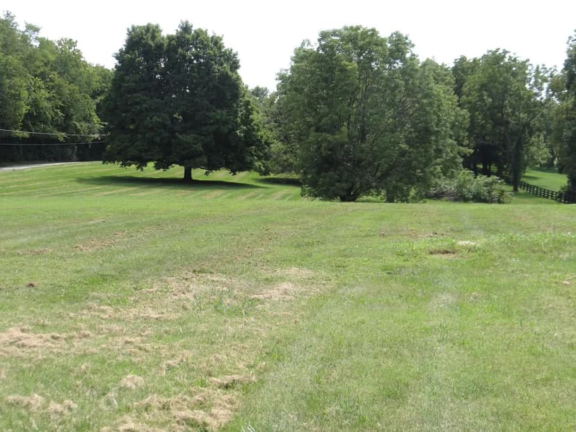 Property from 1120 Duckers Road - KW
