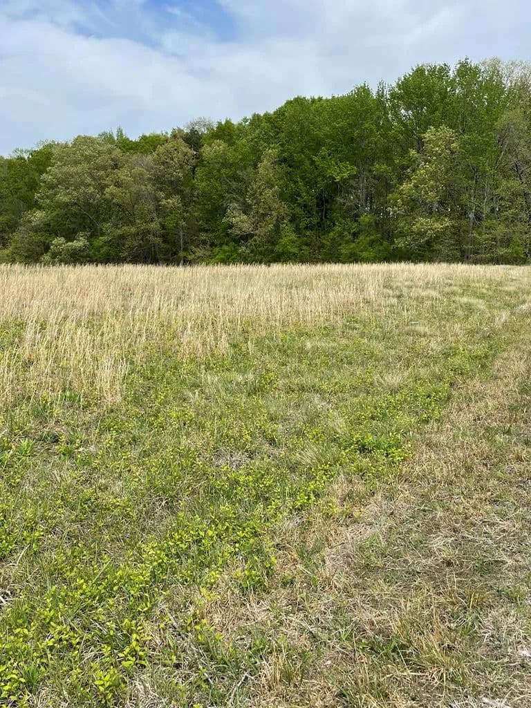 Vacant Land in Alton