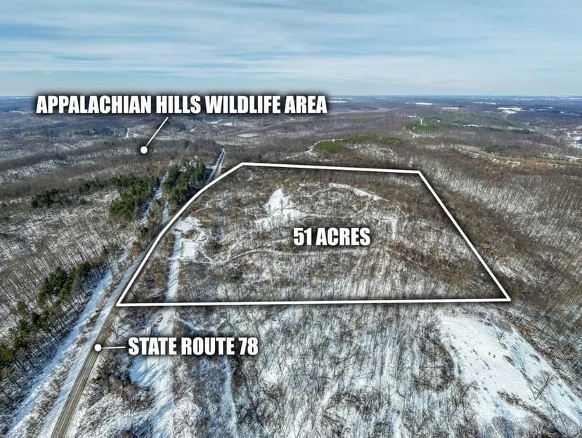 St Rt 78 Auction - 51 acres