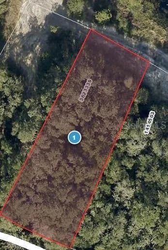 0.27 Acres of Land for Sale in LADY LAKE, FL - Lady Lake, Florida, 32159