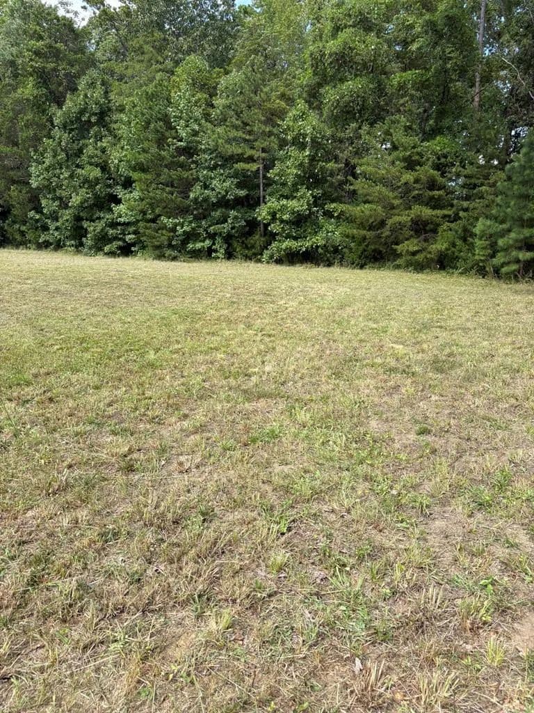 Vacant Land in Clarksville
