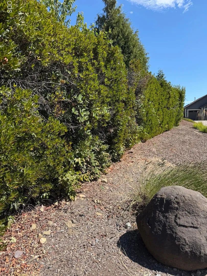 Lots & Land-Other in Medford - Medford, Oregon, 97501