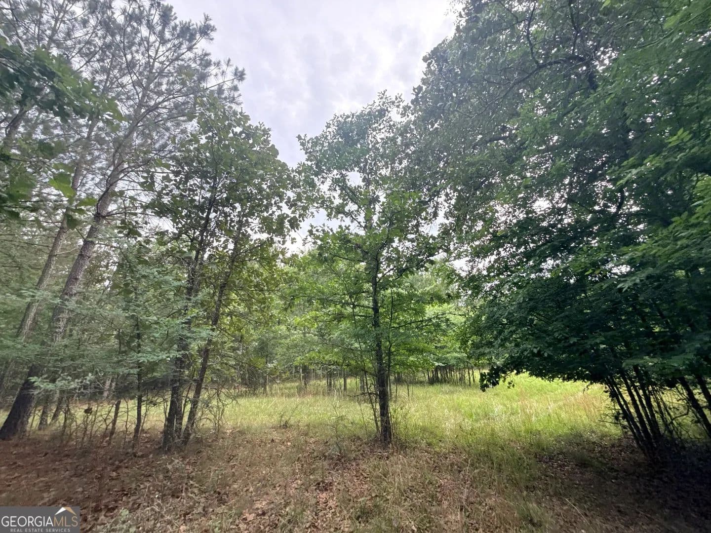 Property from 3 Bethesda Church Road - KW - Lexington, Georgia, 30648