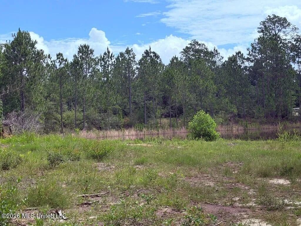 Property from E Lake Cypress Drive - KW - Perkinston, Mississippi, 39573