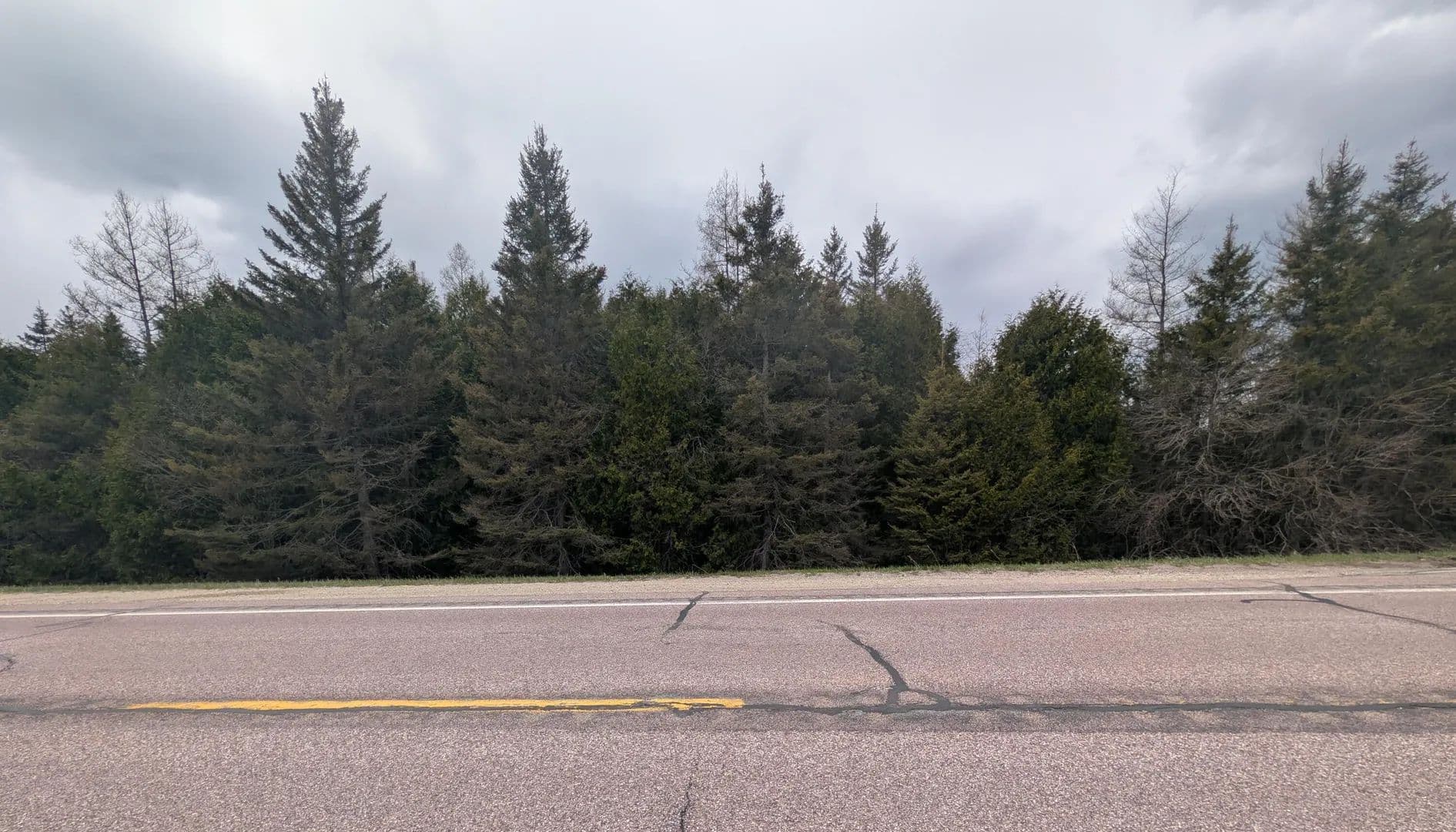 Vacant Land in Moran - Moran, Michigan, 49760