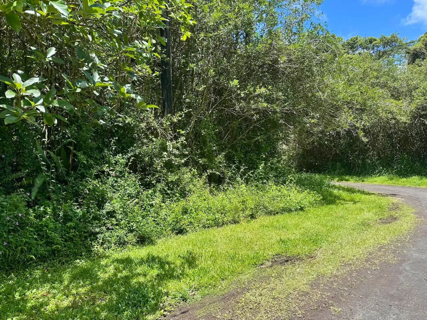 0.21 Acres of Land for Sale in Pahoa, HI - Pahoa, Hawaii, 96778