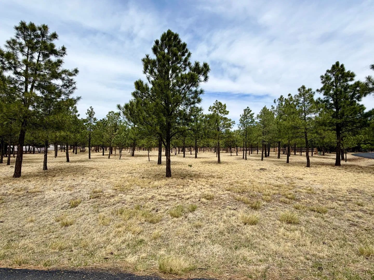 Lots & Land-Other in Alto - Alto, New Mexico, 88312