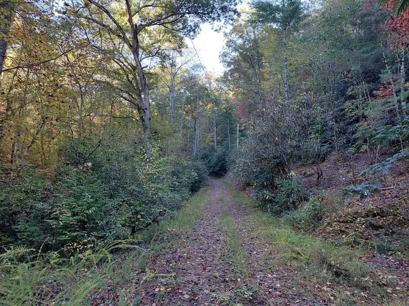 Property from Lot E3 Foxfire Estates - KW