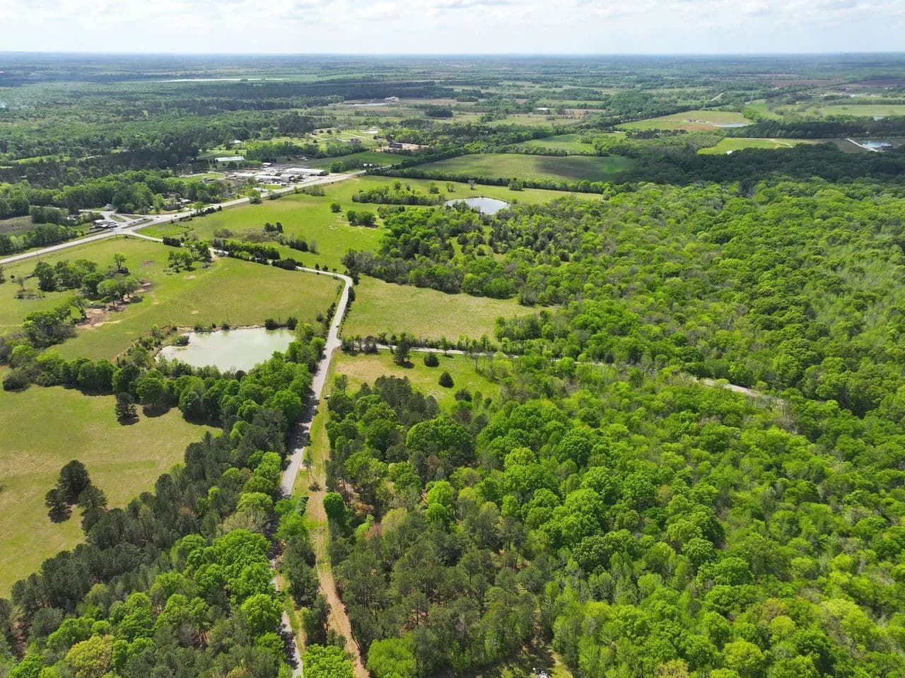 7 Acre Homesite in Pike Road - Pike Road, Alabama, 36064