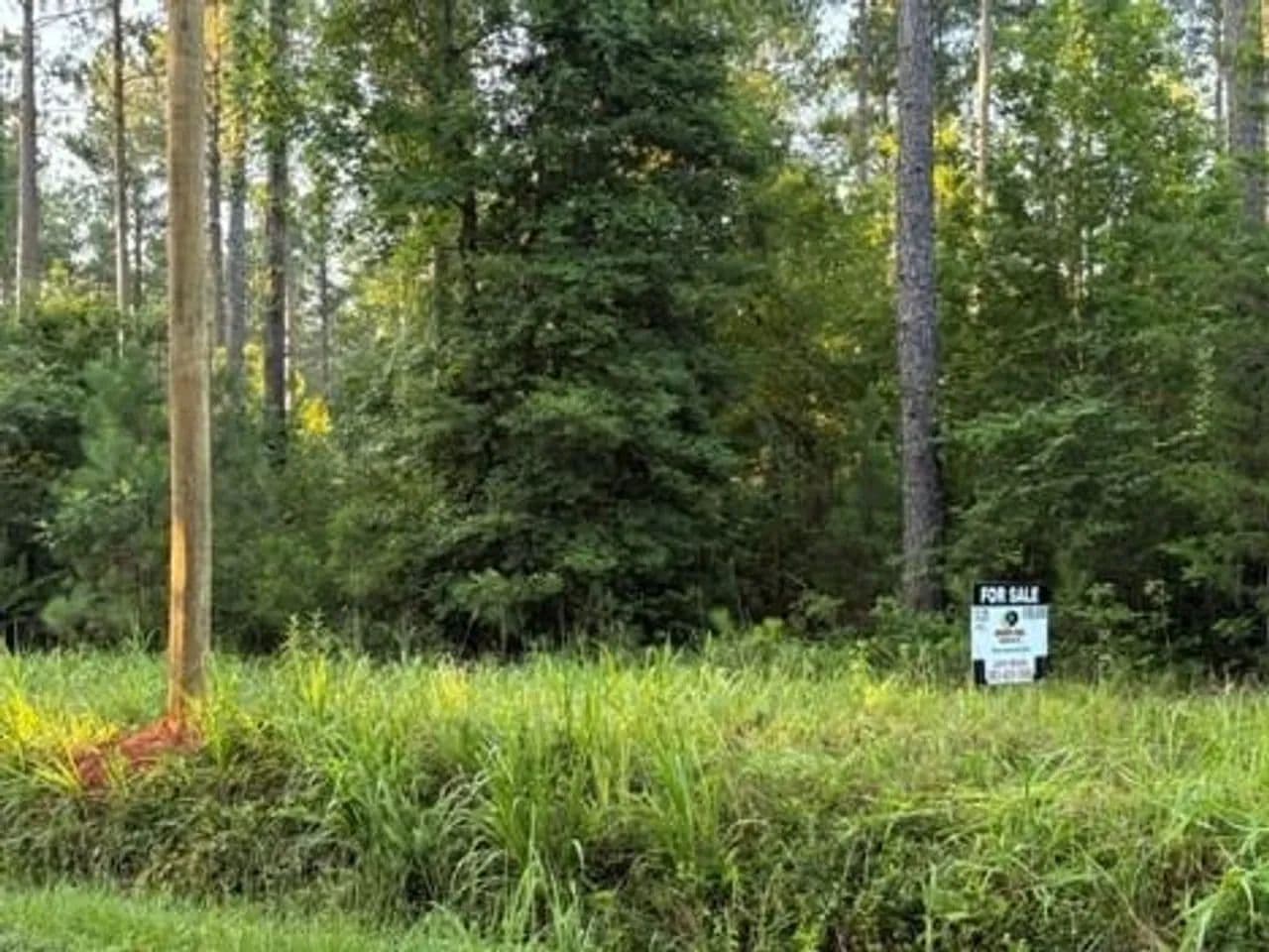 13.25 Wooded Acres Near Chapin and Spring Hill High School - Little Mountain, South Carolina, 29075