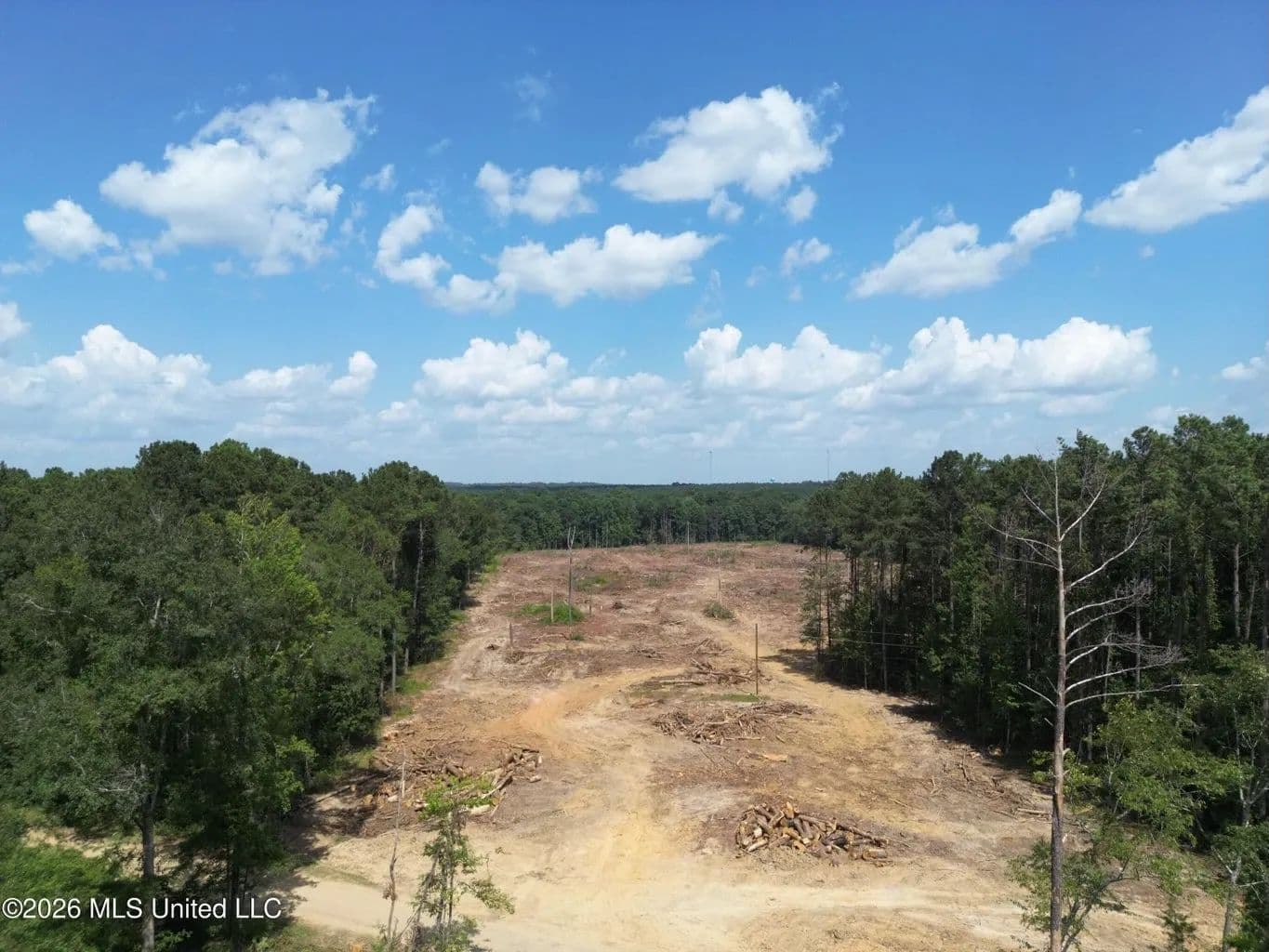 25 Acres for Sale Lincoln County MS - Bogue Chitto, Mississippi, 39629