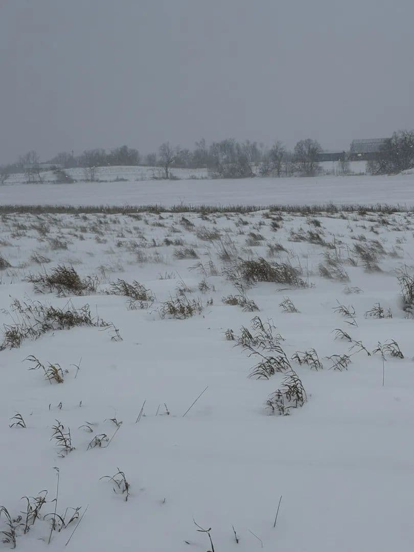 Lots & Land-Other in Dent