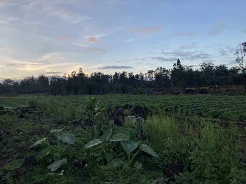 Vacant Land in Volcano