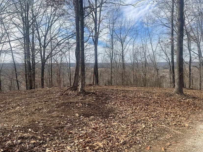 Beautiful 33+/- AC For Sale in Poplar Bluff, MO
