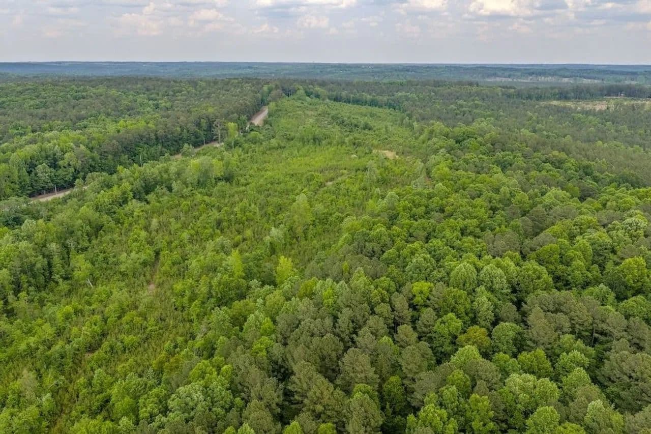 UPDATED!!  173.23 acres of Recreational and Timberland For Sale in Montgomery County NC! - land for sale