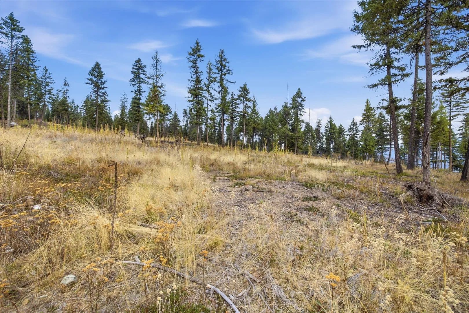 7.79 Acres of Land for Sale in Libby, MT - Libby, Montana, 59923
