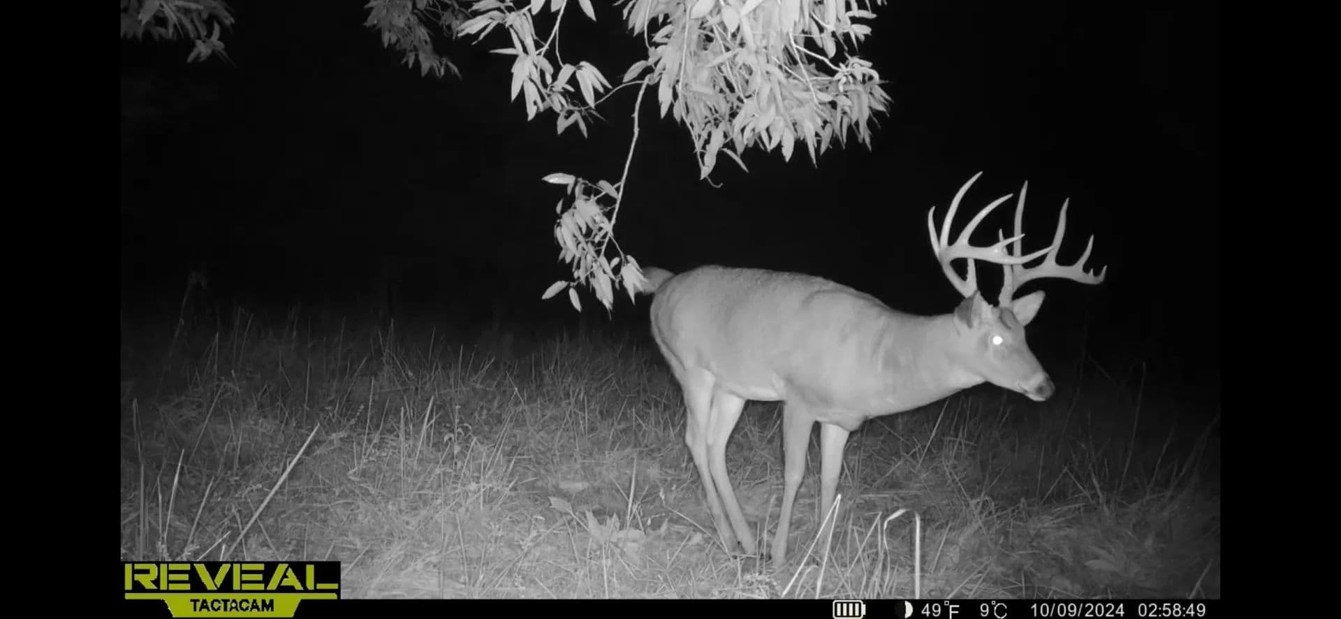 Premier 69± Acre Hunting and Recreational Property – Marion County  - Alma, Illinois, 62807