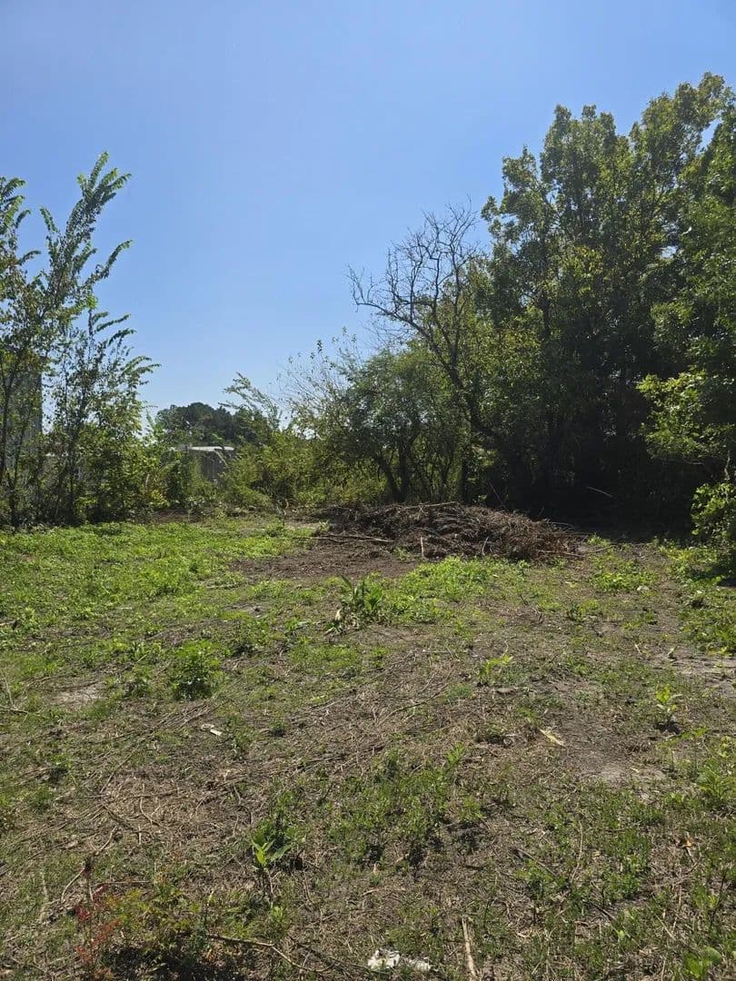 Lots & Land-Other in Mayesville - Mayesville, South Carolina, 29104