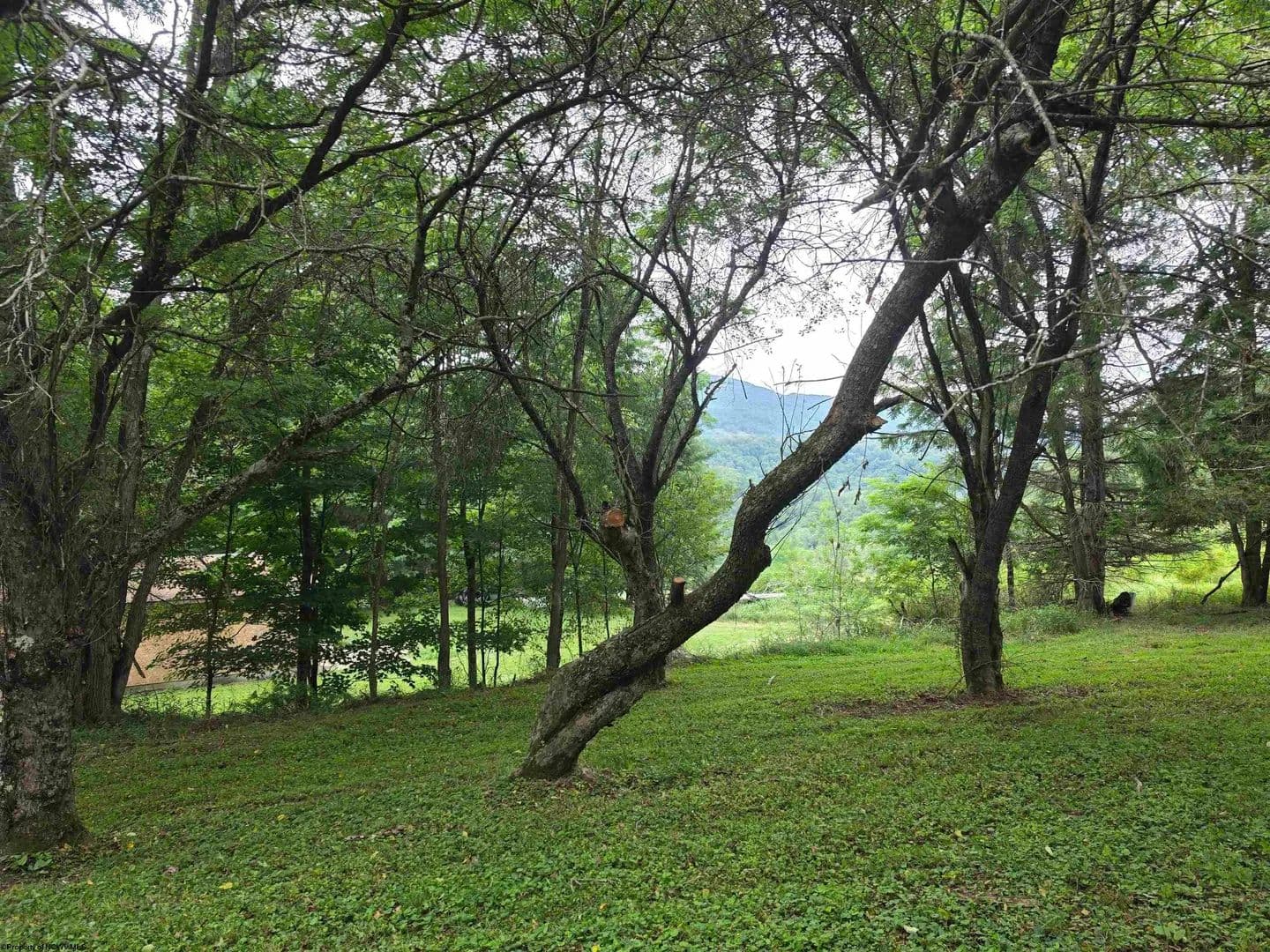 Lots & Land-Other in Bowden - land for sale