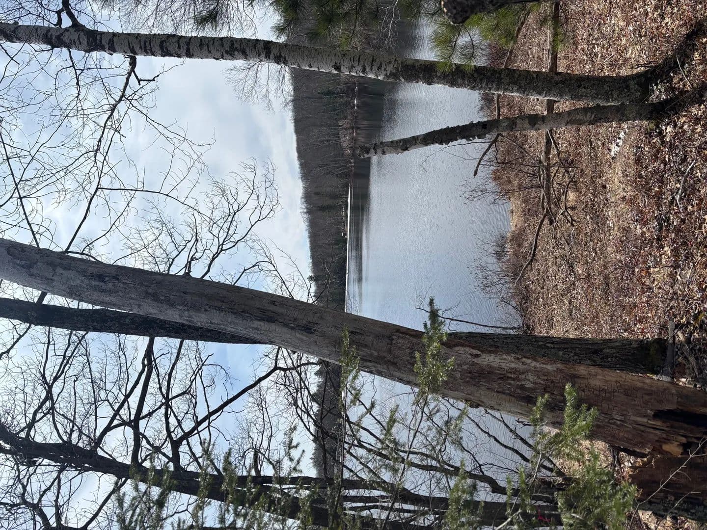 Vacant Land (0-10 Acres) in Land O Lakes - Wisconsin, 54540