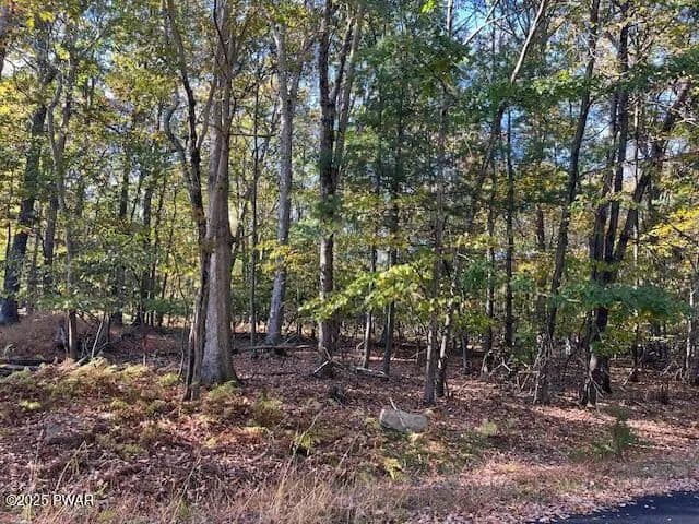 Vacant Land in Dingmans Ferry