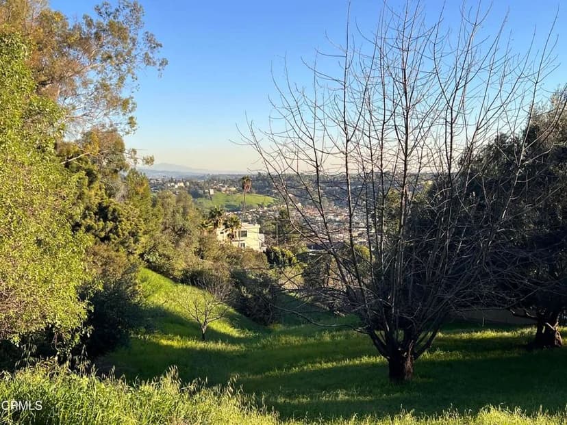 Vacant Land in Los Angeles