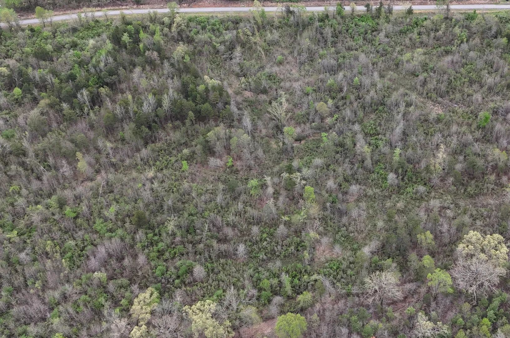 Vacant Land (10+ Acres) in Hartman - Hartman, Arkansas, 72840
