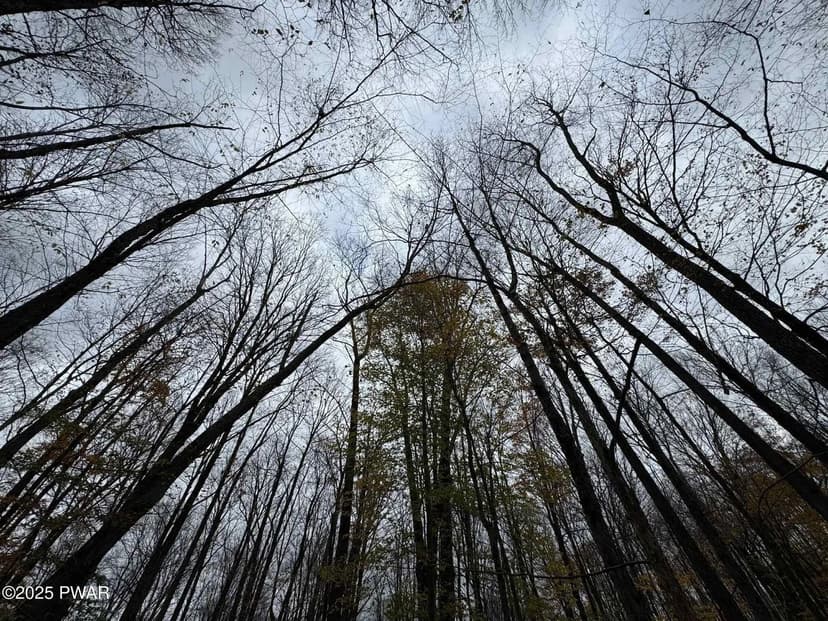 Lots & Land-Other in Lake Ariel