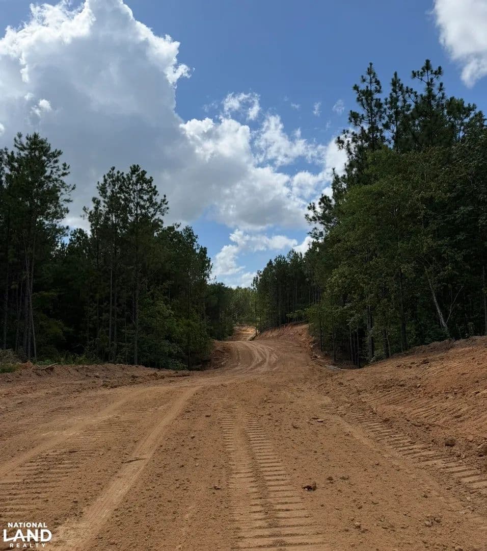 465 Acre Shiloh Farms Development - Columbiana, Alabama, 35051