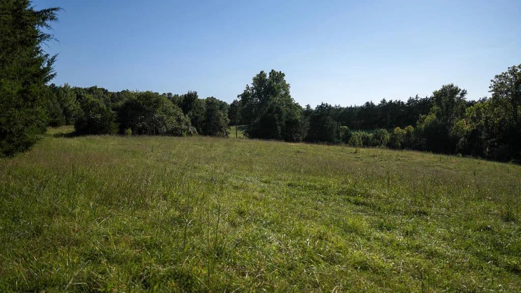 Land -Single Family Acreage in Meherrin - Meherrin, Virginia, 23954