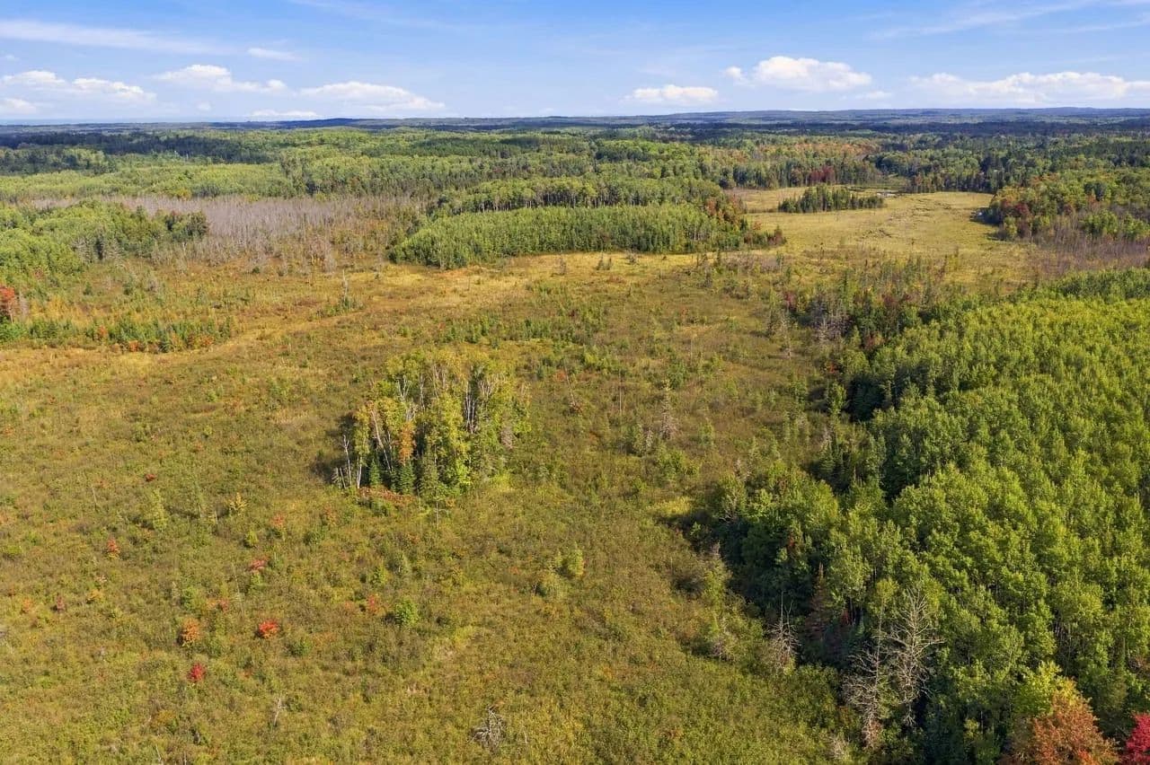 Diverse Northwoods Hunting Tract - Lake Nebagamon, Wisconsin, 54849