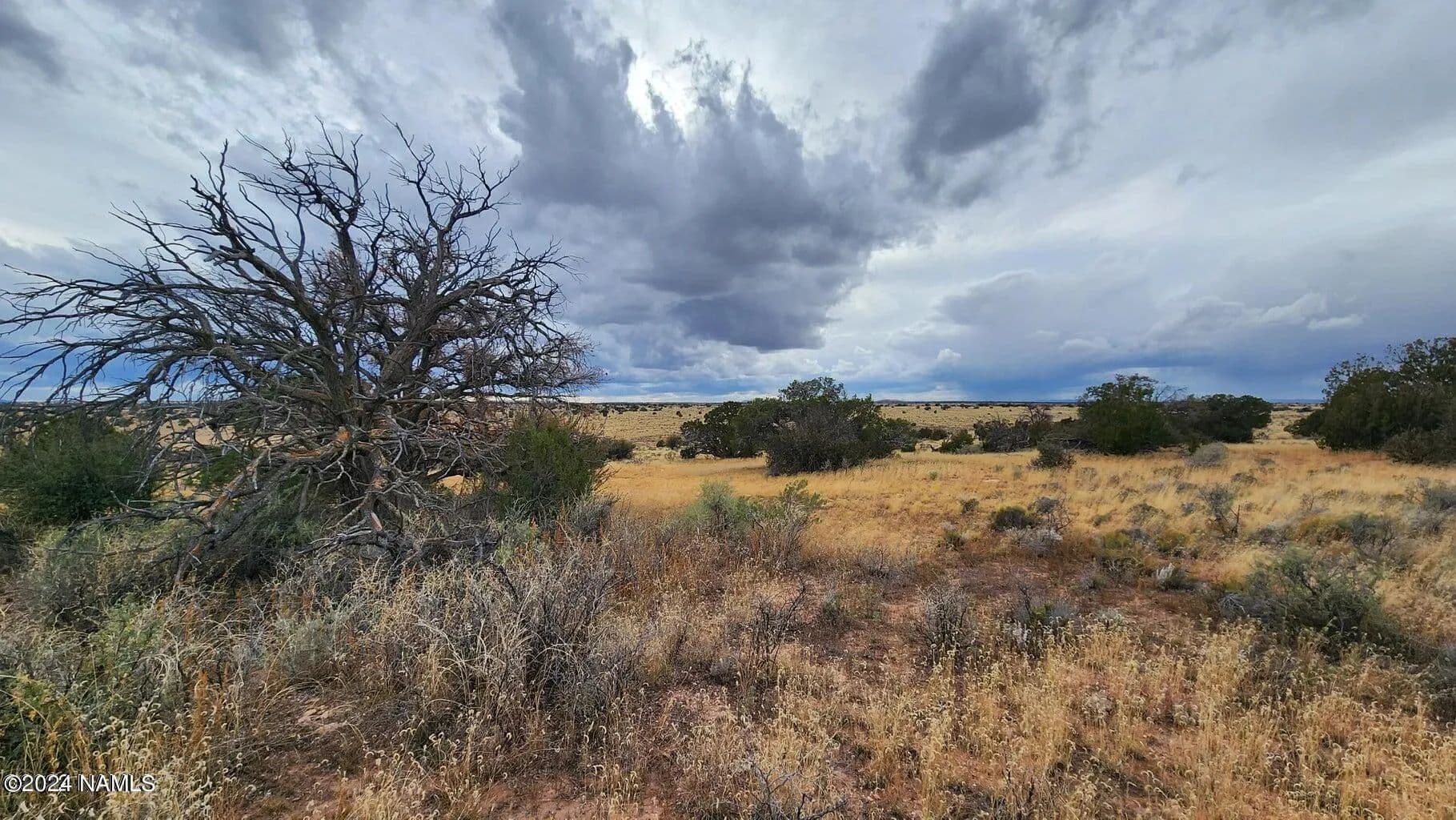 Vacant Land (10+ Acres) in Williams - Williams, Arizona, 86046