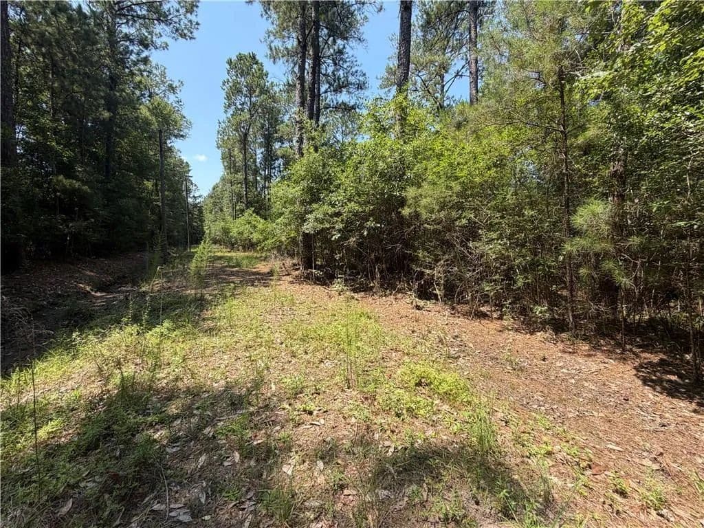 1 Acre of Land for Sale in Bush, LA - Bush, Louisiana, 70431