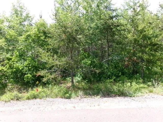 1.24 Acres of Land for Sale in Hayward, Wisconsin - Hayward, Wisconsin, 54843