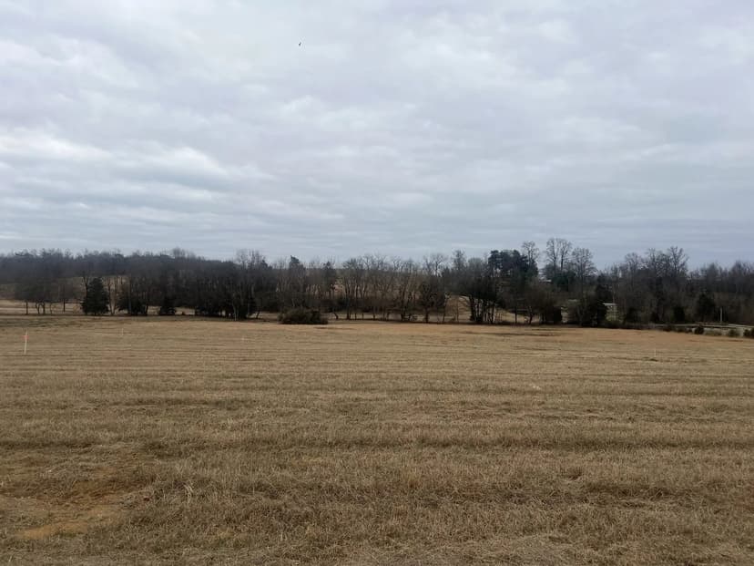 Lots & Land-Other in Moss