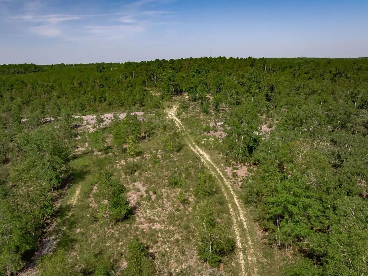 The Tinker Creek Tract - Williston, South Carolina, 29853
