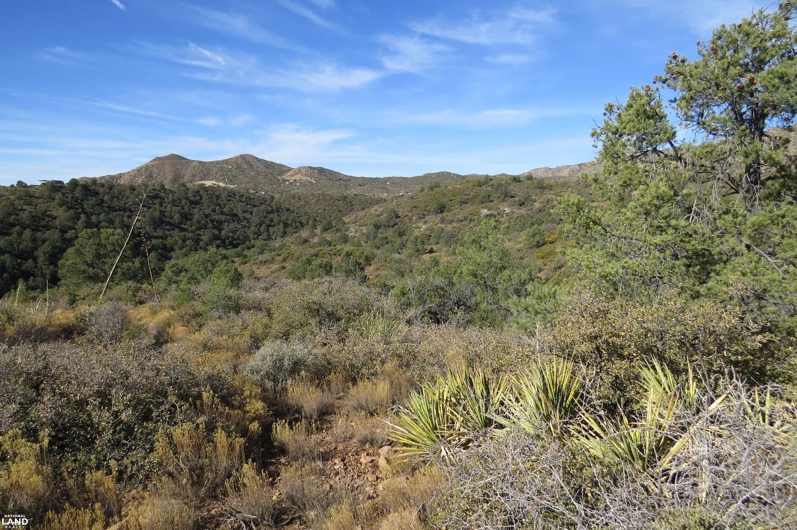 Gila County 23.20 Acres off Of Hwy 77 South of Globe Treed with Deer - Globe, Arizona, 85501