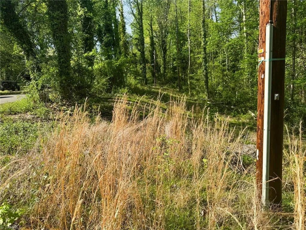 Vacant Land in Winston-salem - Winston-Salem, North Carolina, 27106