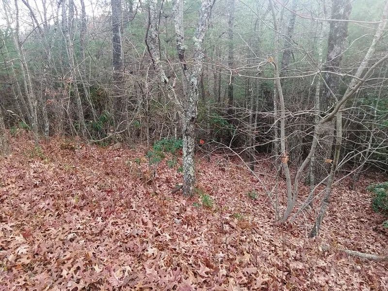 Vacant Land in Fleetwood - Fleetwood, North Carolina, 28626