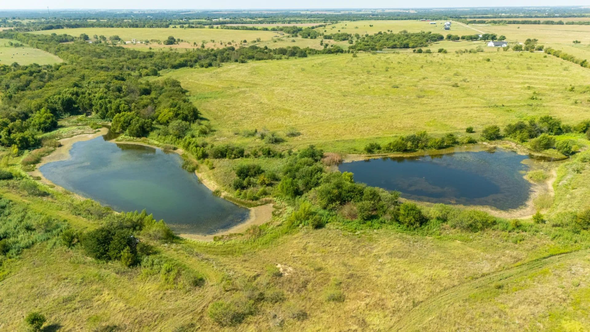 Cottonwood Creek Ranch - Grandview, Texas, 76050