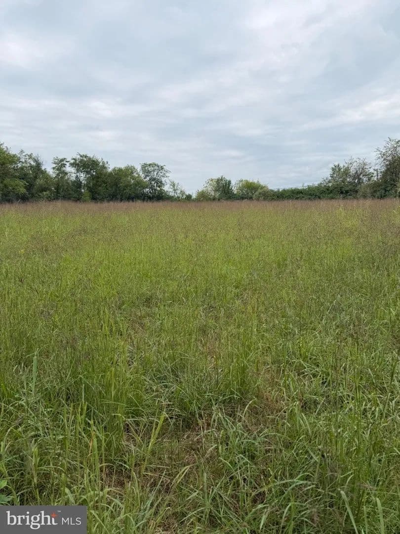 Lots & Land-Other in CLEAR BROOK - Clear Brook, Virginia, 22624