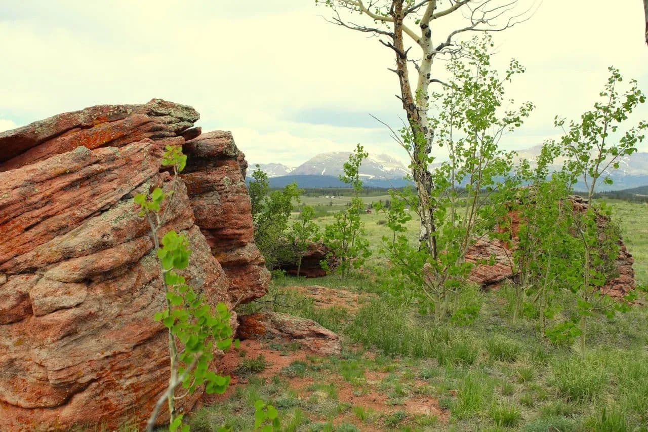 Elk Alpine Haven - Fairplay, Colorado, 80440