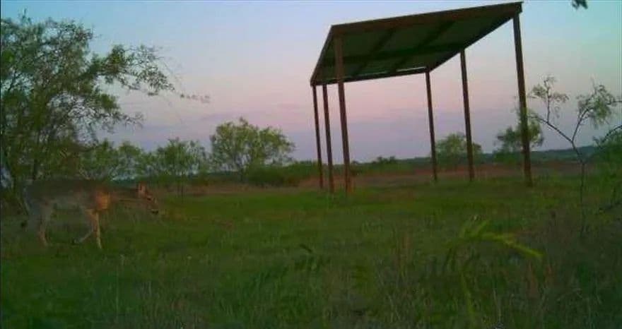 Vacant Land in Dublin - Dublin, Texas, 76446