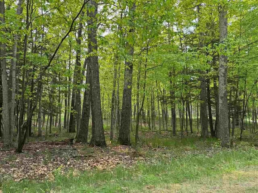 Lots & Land-Other in Harbor Springs