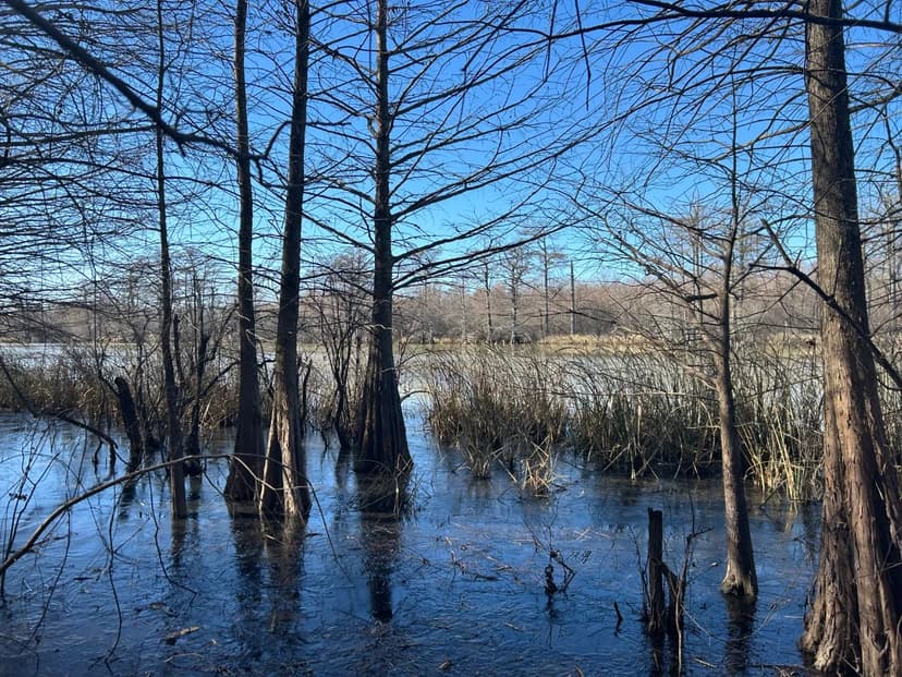 117.33 Acres in Tunica County, MS 